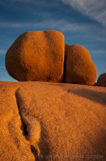 JT44 is a photograph by T.M. Schultze taken 2012 at Joshua Tree National Park, California