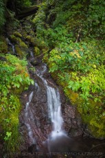 Olympic Creek is a photograph by T.M. Schultze taken 2013 at Olympic National Park, Washington
