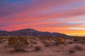 JT43 is a photograph by T.M. Schultze taken at Joshua Tree National Park, California