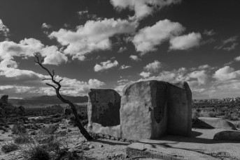 Treepost is a photograph by T.M. Schultze taken 2015 at Joshua Tree National Park, California