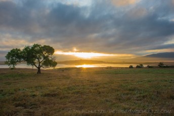 Cottonwood Sunrise is a photograph by T.M. Schultze taken at ,