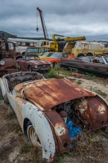is a photograph by T.M. Schultze taken at Campo, California