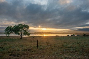 is a photograph by T.M. Schultze taken at ,