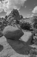 JT51 is a photograph by T.M. Schultze taken 2015 at Joshua Tree National Park, California