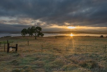 is a photograph by T.M. Schultze taken at ,
