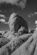 JT46 is a photograph by T.M. Schultze taken 2015 at Joshua Tree National Park, California