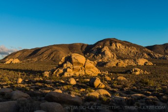is a photograph by T.M. Schultze taken at Joshua Tree National Park, California