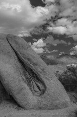 JT55 is a photograph by T.M. Schultze taken 2015 at Joshua Tree National Park, California