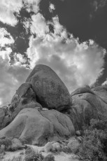 JT64 is a photograph by T.M. Schultze taken 2015 at Joshua Tree National Park, California