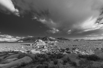 is a photograph by T.M. Schultze taken at Joshua Tree National Park, California