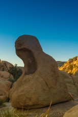 is a photograph by T.M. Schultze taken at Joshua Tree National Park, California