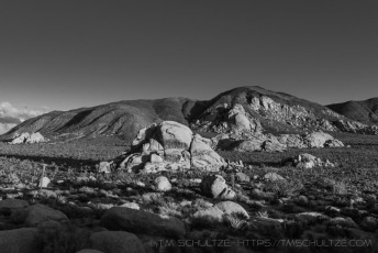 JT37 is a photograph by T.M. Schultze taken 2015 at Joshua Tree National Park, California