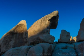 is a photograph by T.M. Schultze taken at Joshua Tree National Park, California
