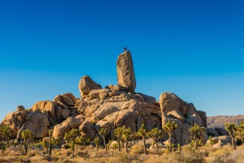 is a photograph by T.M. Schultze taken at Joshua Tree National Park, California