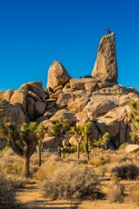 is a photograph by T.M. Schultze taken at Joshua Tree National Park, California