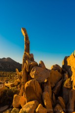 is a photograph by T.M. Schultze taken at Joshua Tree National Park, California