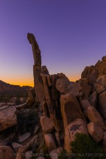 is a photograph by T.M. Schultze taken at Joshua Tree National Park, California