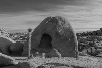 JT49 is a photograph by T.M. Schultze taken 2015 at Joshua Tree National Park, California
