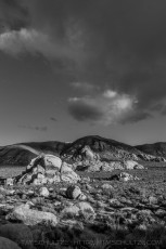 is a photograph by T.M. Schultze taken 2015 at Joshua Tree National Park, California