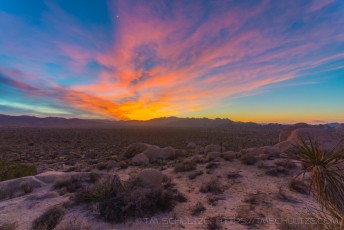 is a photograph by T.M. Schultze taken at Joshua Tree National Park, California
