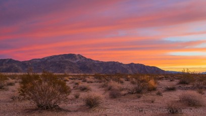 JT43 is a photograph by T.M. Schultze taken at Joshua Tree National Park, California