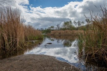 MTRP21 is a photograph by T.M. Schultze taken 2015 at San Diego, California