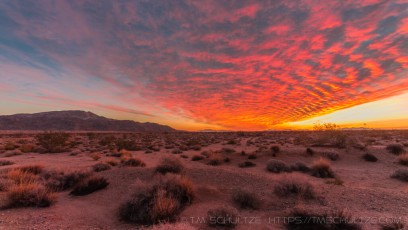 Sunrise Victory is a photograph by T.M. Schultze taken at Joshua Tree National Park, California