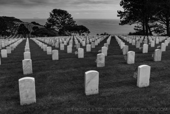 is a photograph by T.M. Schultze taken at ,