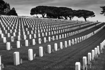 Rows of Remembrance is a photograph by T.M. Schultze taken 2016 at San Diego, California