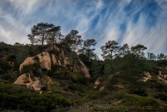Torrey Pines Bluffs is a photograph by T.M. Schultze taken at ,