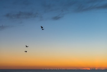 Quartet is a photograph by T.M. Schultze taken at ,