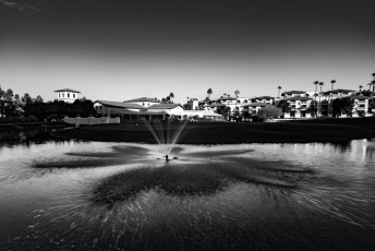 Fountain Shot, Black and White