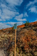 Public Notice is a photograph by T.M. Schultze taken at Santee, California