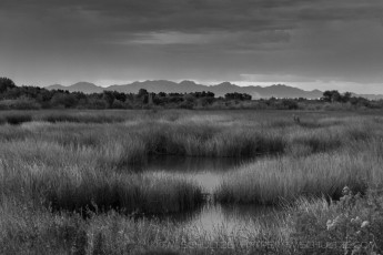 is a photograph by T.M. Schultze taken at ,