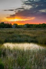 Yuma East Wetlands Inspiration is a photograph by T.M. Schultze taken at ,