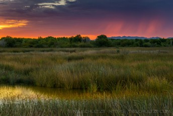 Hopeful Morning is a photograph by T.M. Schultze taken at ,