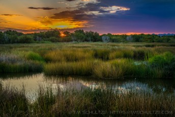 East Wetlands Sunrise is a photograph by T.M. Schultze taken at ,