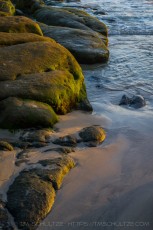 Greenlit is a photograph by T.M. Schultze taken at ,