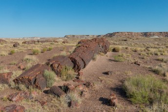 PFNP11 is a photograph by T.M. Schultze taken at Petrified Forest National Park, Arizona