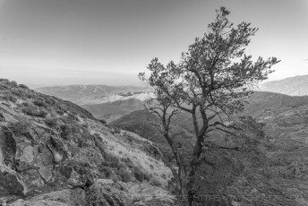 Pinyon Point is a photograph by T.M. Schultze taken at ,