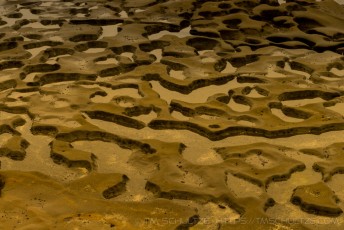 Pothole Patterns is a photograph by T.M. Schultze taken at ,
