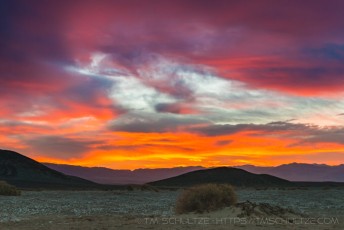 Death Valley Sunrise Mesquite is a photograph by T.M. Schultze taken at Death Valley National Park, California