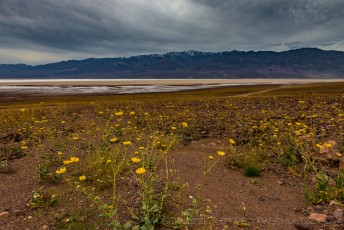 is a photograph by T.M. Schultze taken at Death Valley National Park, California
