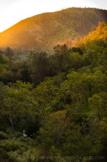 PNP14 is a photograph by T.M. Schultze taken at Pinnacles National Park, California
