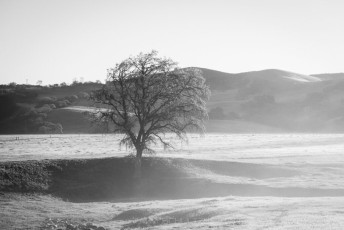 is a photograph by T.M. Schultze taken at Pinnacles National Park, California