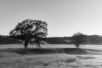 is a photograph by T.M. Schultze taken at Pinnacles National Park, California