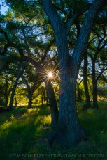 Sun Peek Hollenbeck Canyon is a photograph by T.M. Schultze taken at ,