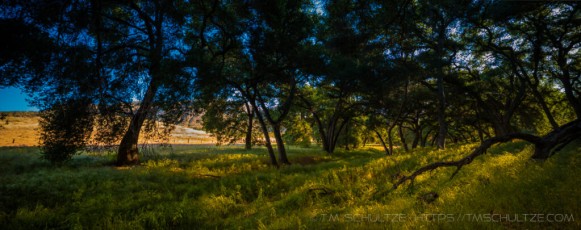Hollenbeck Canyon Panorama is a photograph by T.M. Schultze taken at ,