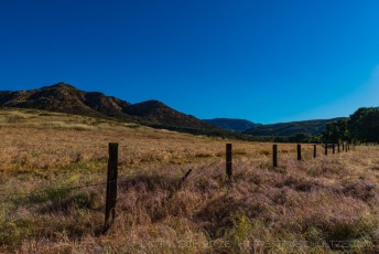 Old Ranch Fence - Hollenbeck Canyon is a photograph by T.M. Schultze taken at ,