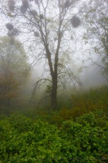 is a photograph by T.M. Schultze taken at ,